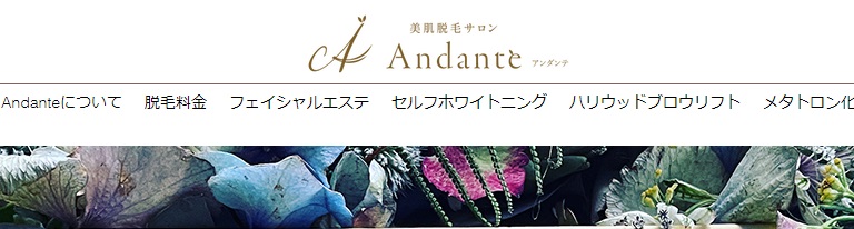 Andante