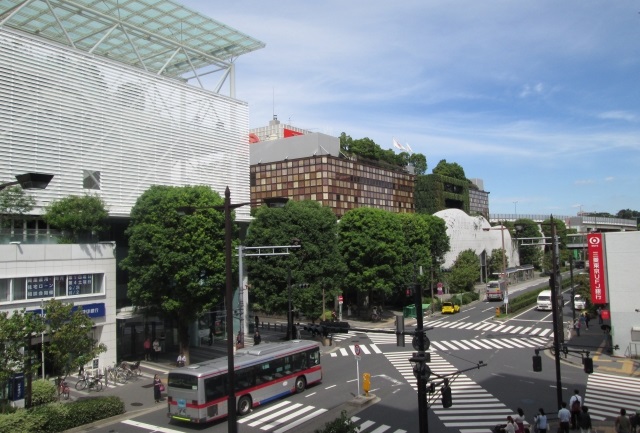 世田谷区のシミ取り（大手医療機関）