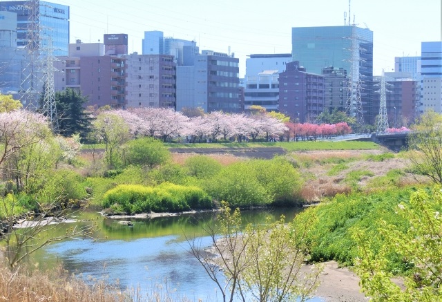 横浜市鶴見区のシミ取り+しみ消し