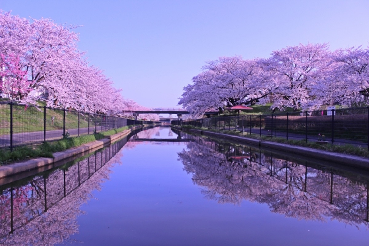 新潟市南区